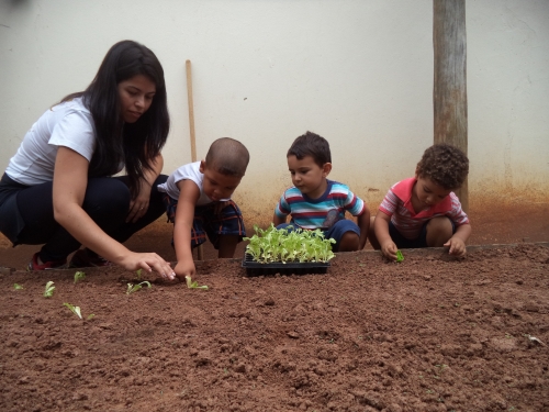 Construindo nossa HORTA!