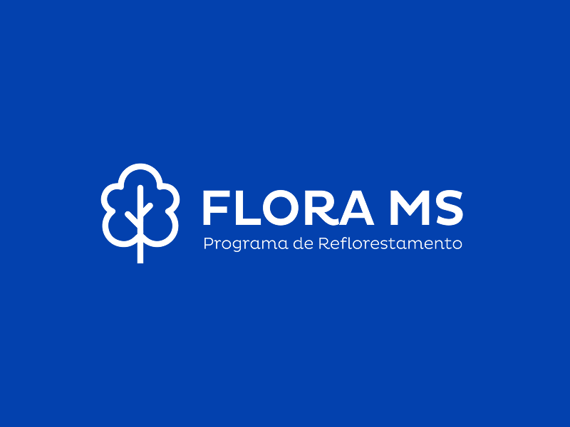 FLORA MS: Compromisso com o meio ambiente