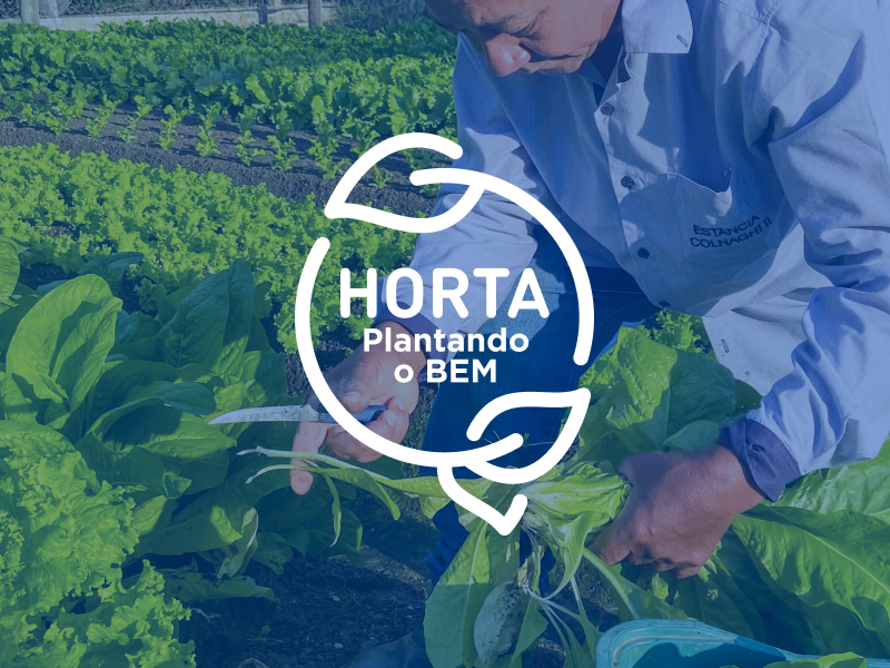 Hover - Plantando o bem