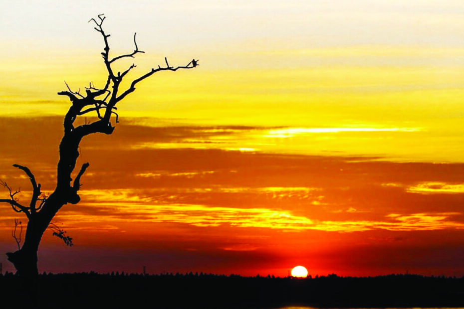 Mato Grosso do Sul – Foto: Marcos Maluf/Arquivo