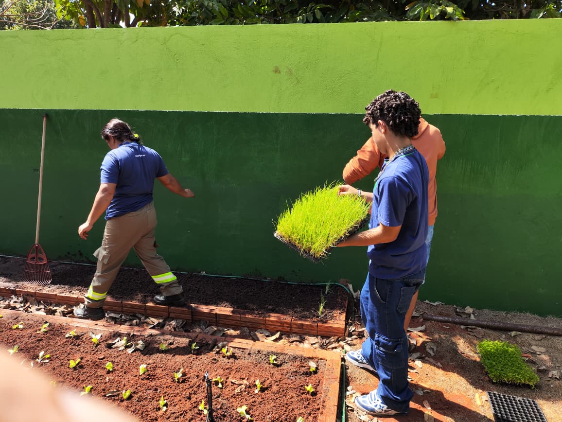 Da Horta ao Aprendizado – 4