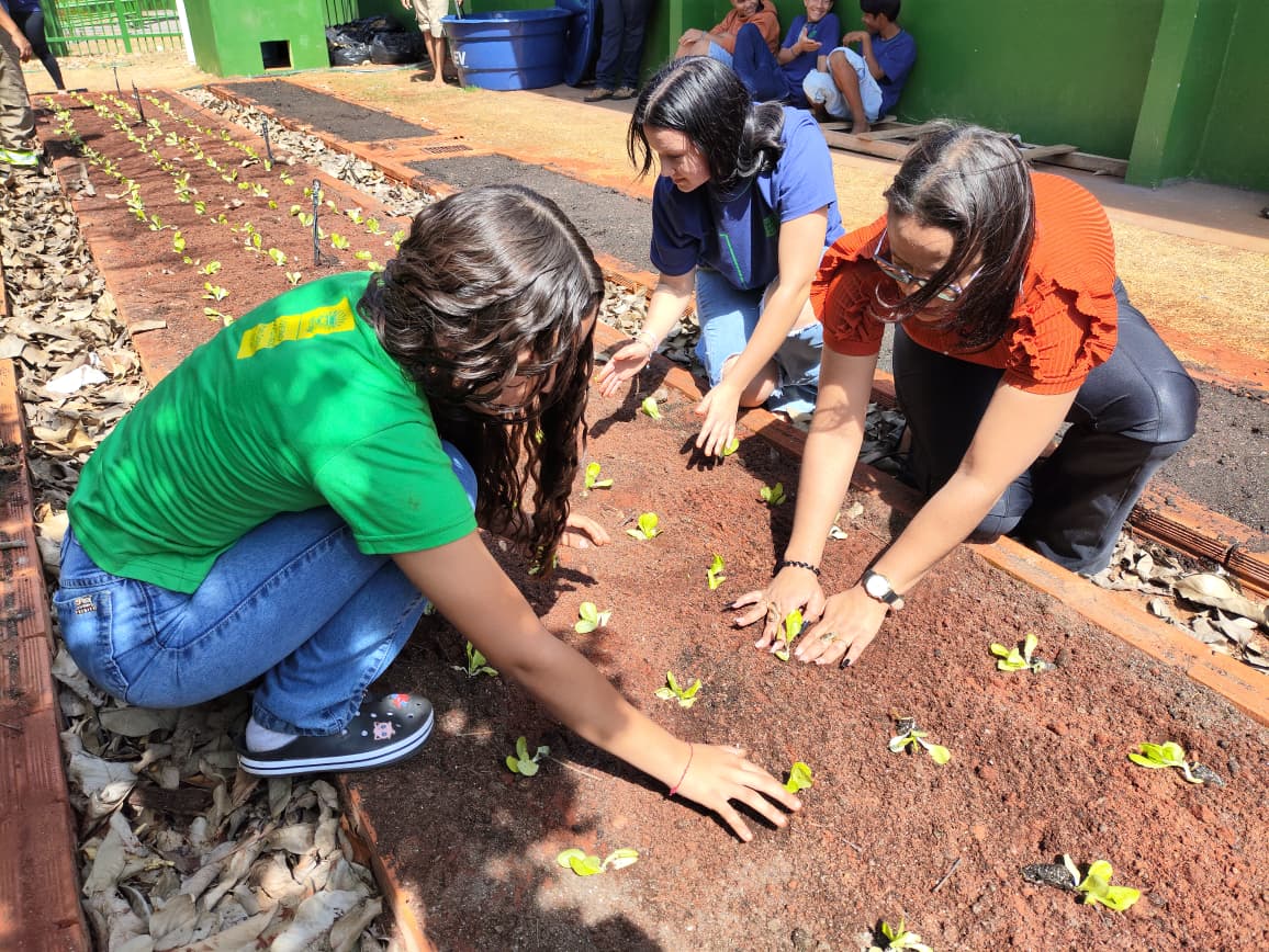 Da Horta ao Aprendizado – 5