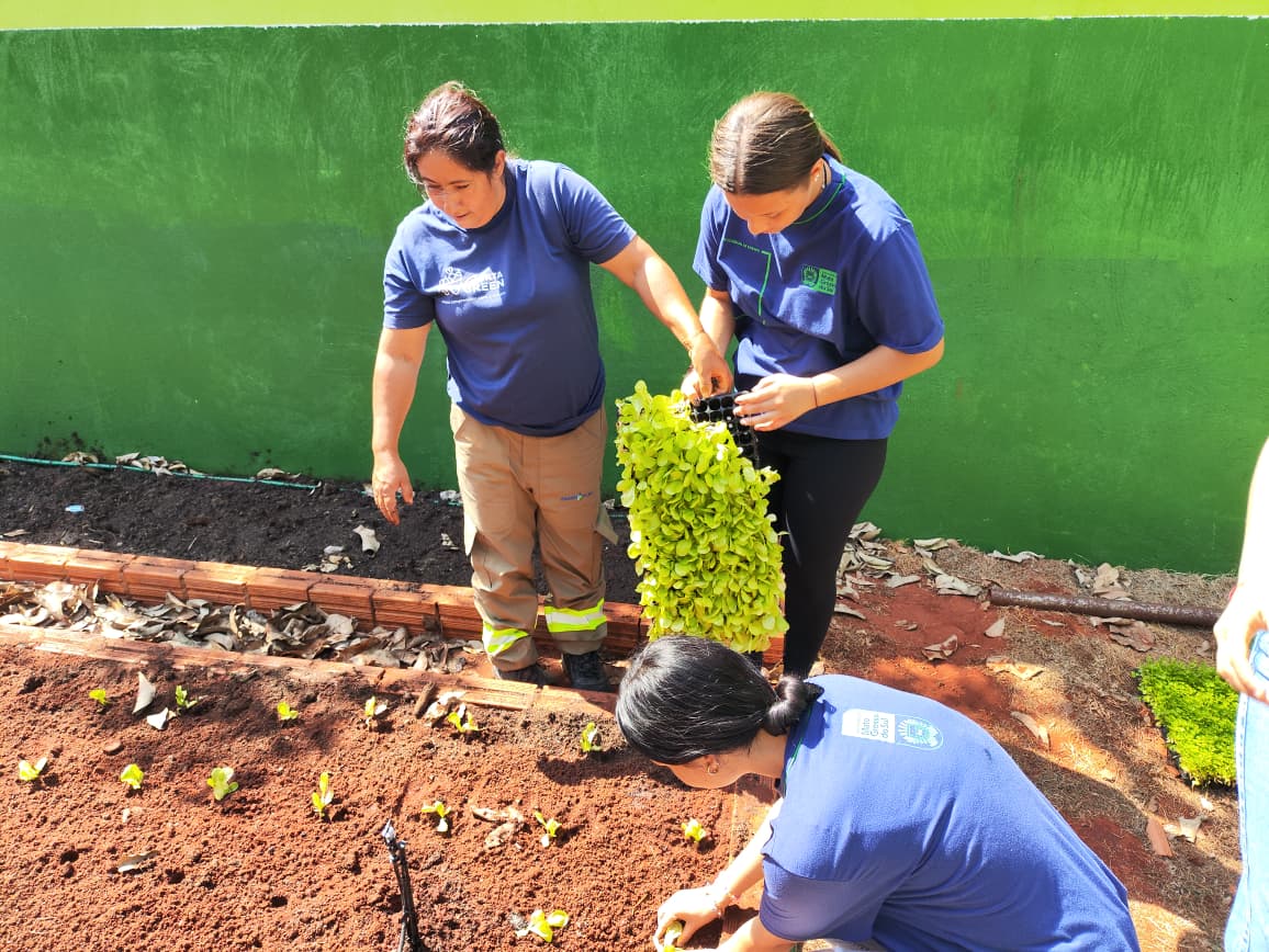 Da Horta ao Aprendizado – 6